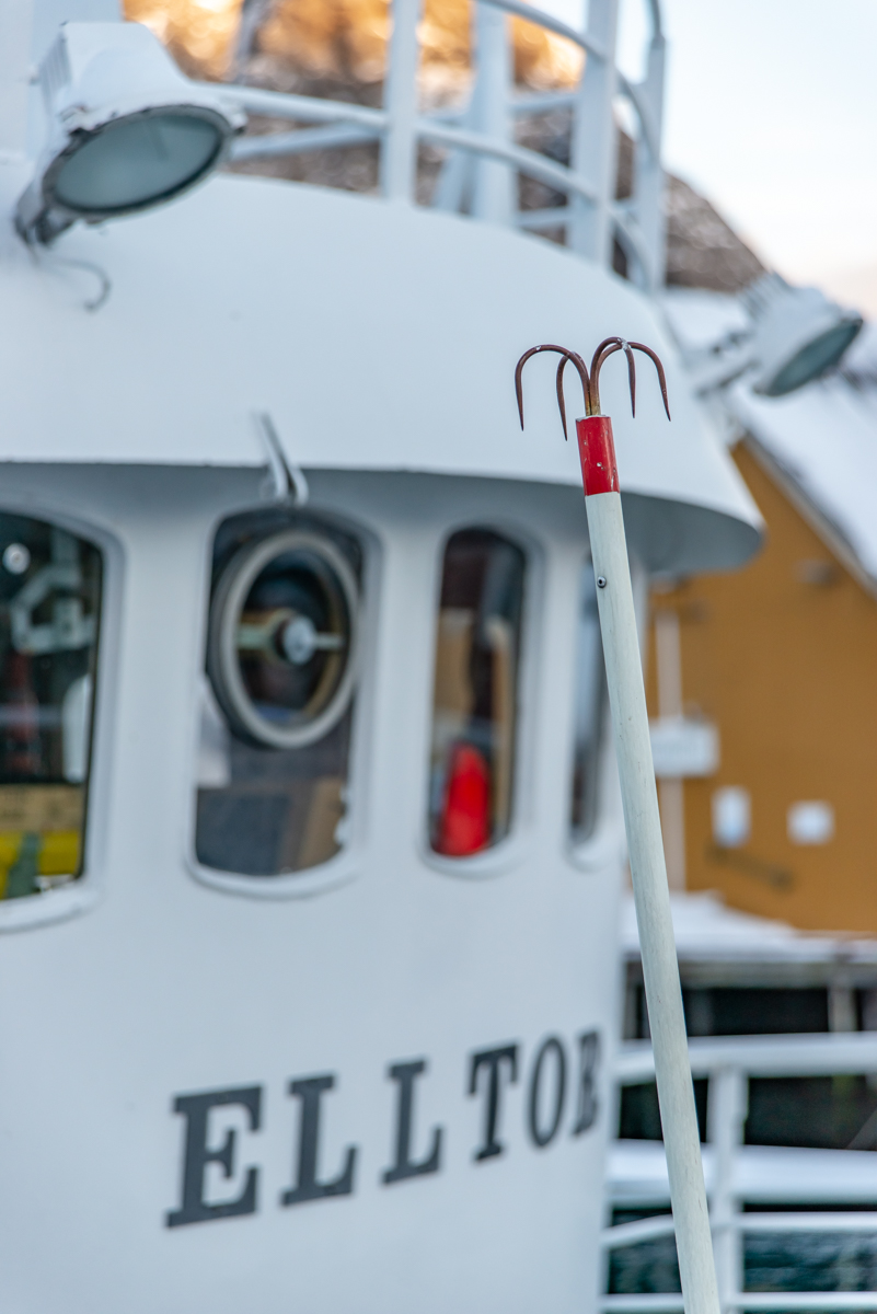 190308 Lofoten 16