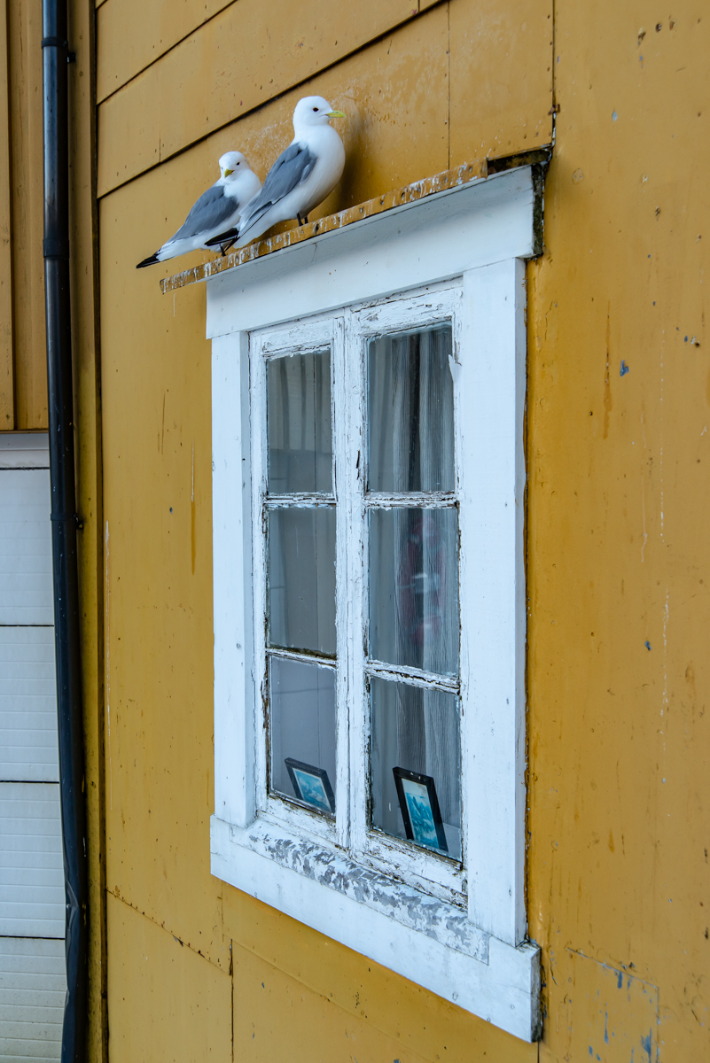 190308 Lofoten 9