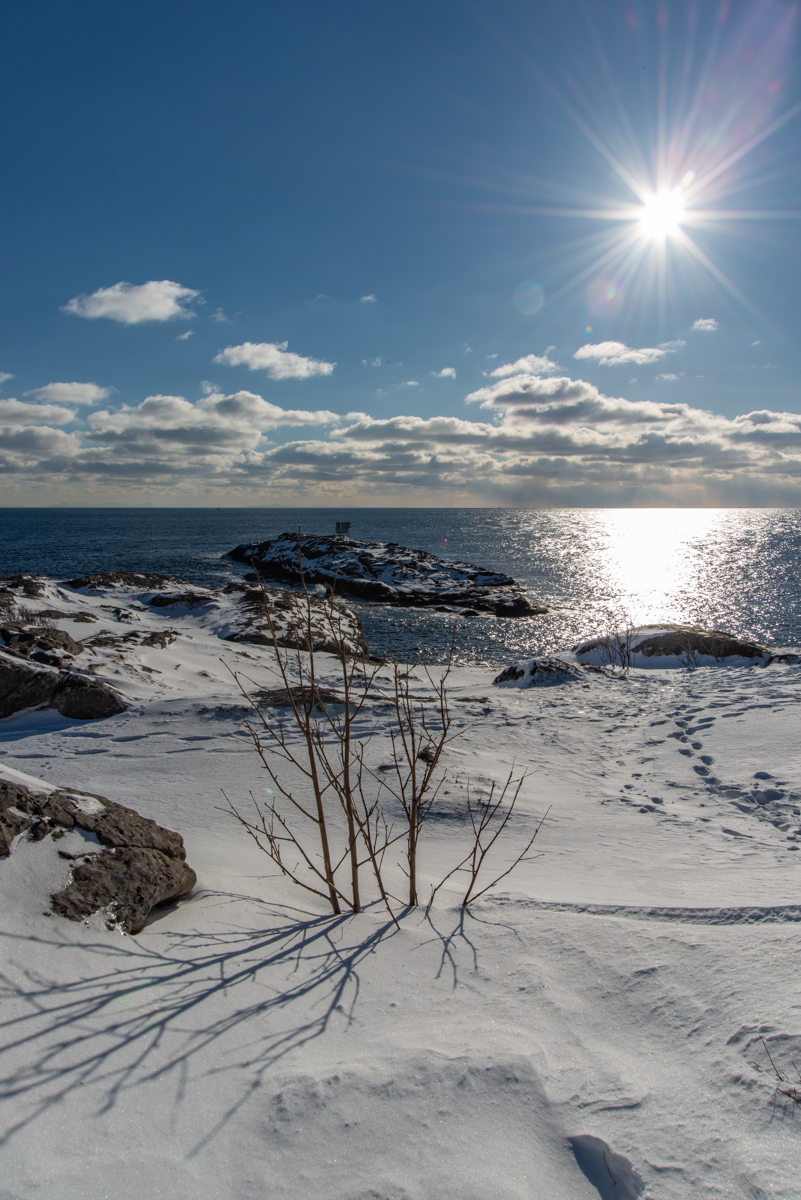 190310 Lofoten 14