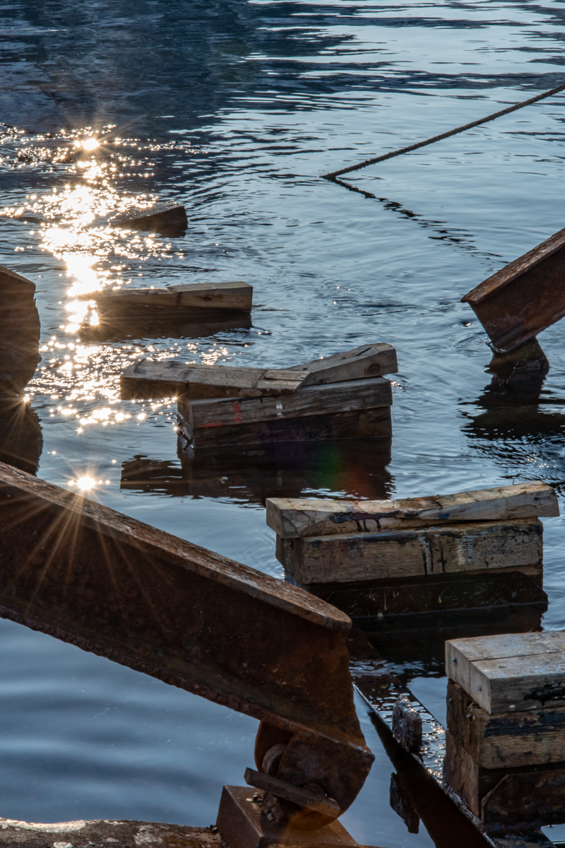 190310 Lofoten 29