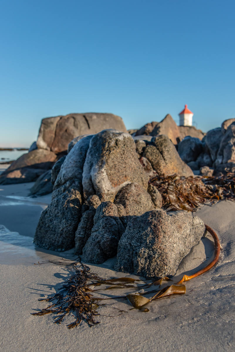 190311 Lofoten 14