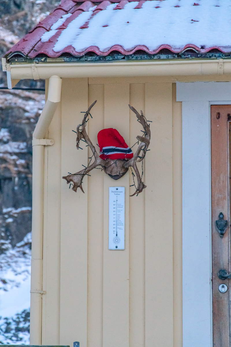 190311 Lofoten 28