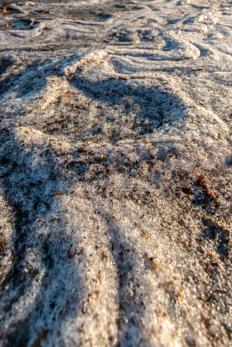 190311 Lofoten 5