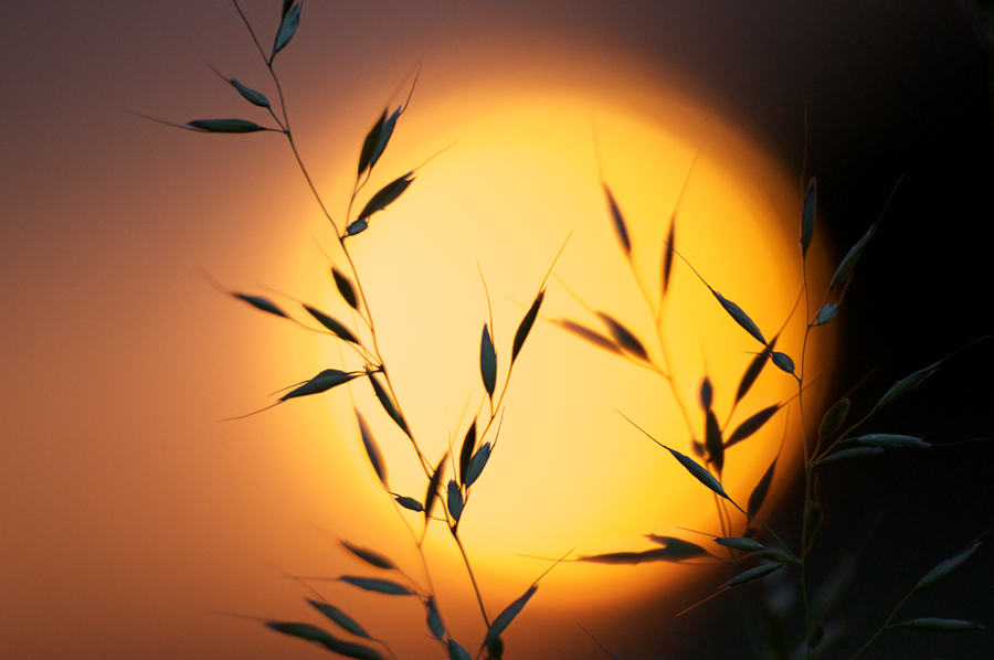 194sonnenuntergang