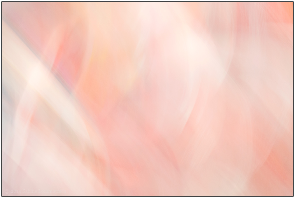 195/365
