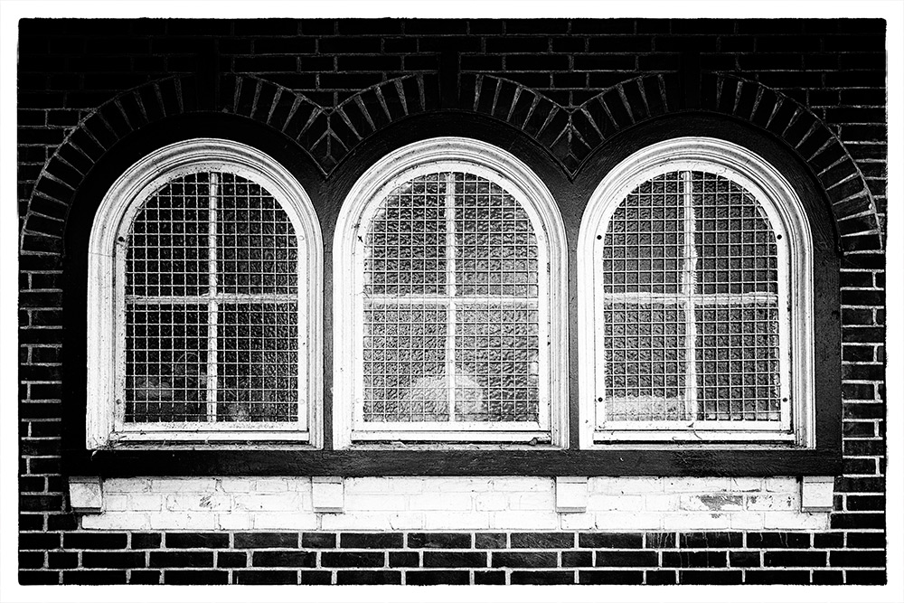 196/365