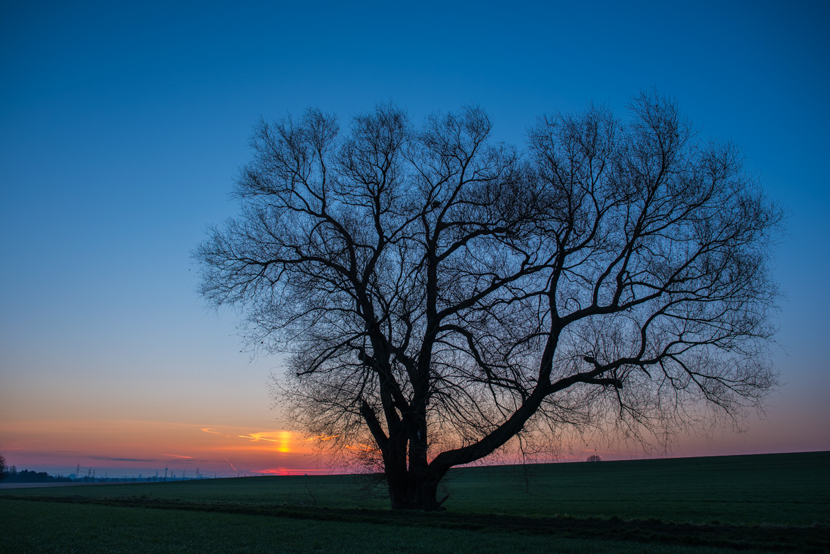1_Februar16