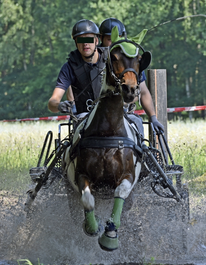 1_lohberg_fahrturnier.jpg
