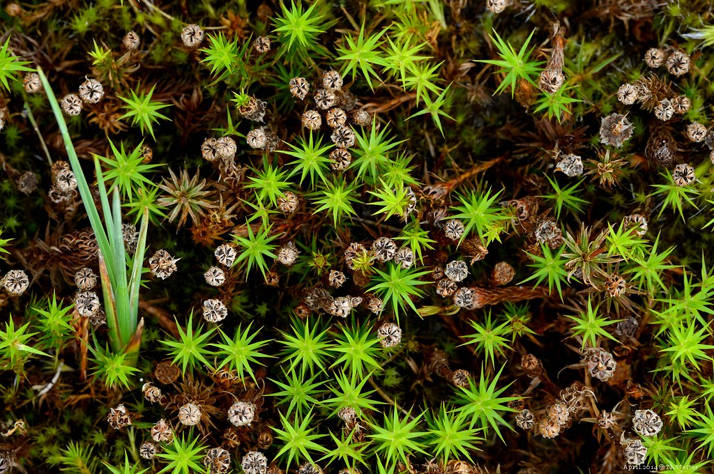 1b