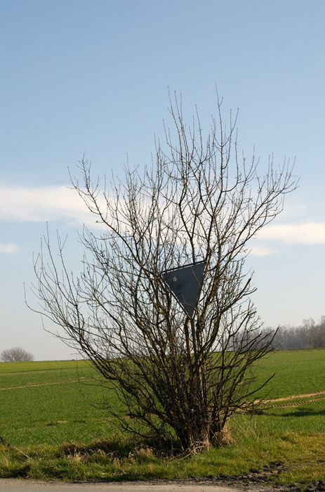 1schilder