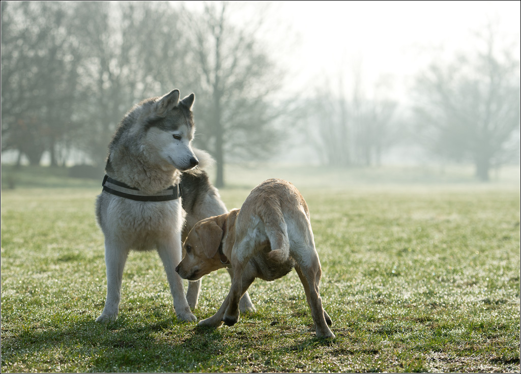 2 im Gegenlicht
