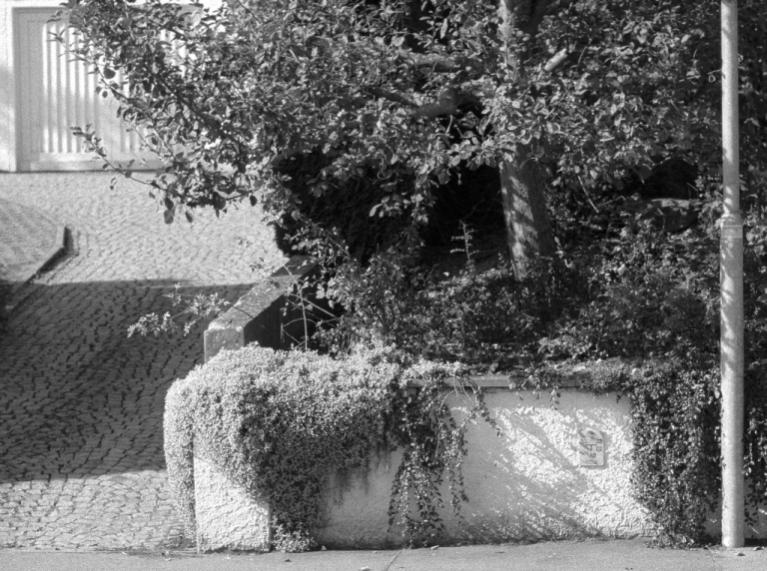 2 Leica01ps auschnitt