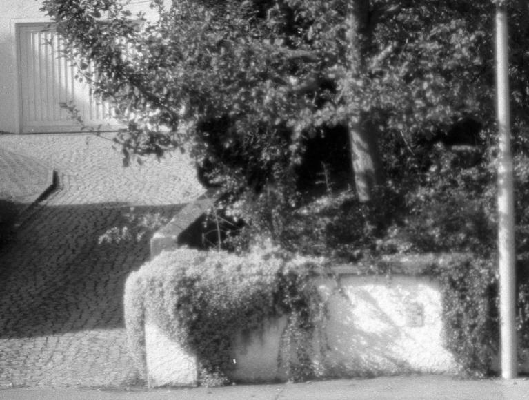 2 Nikkor01ps ausschnitt