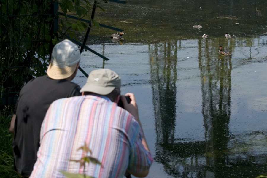 2 von 16 kleinen Strolchen