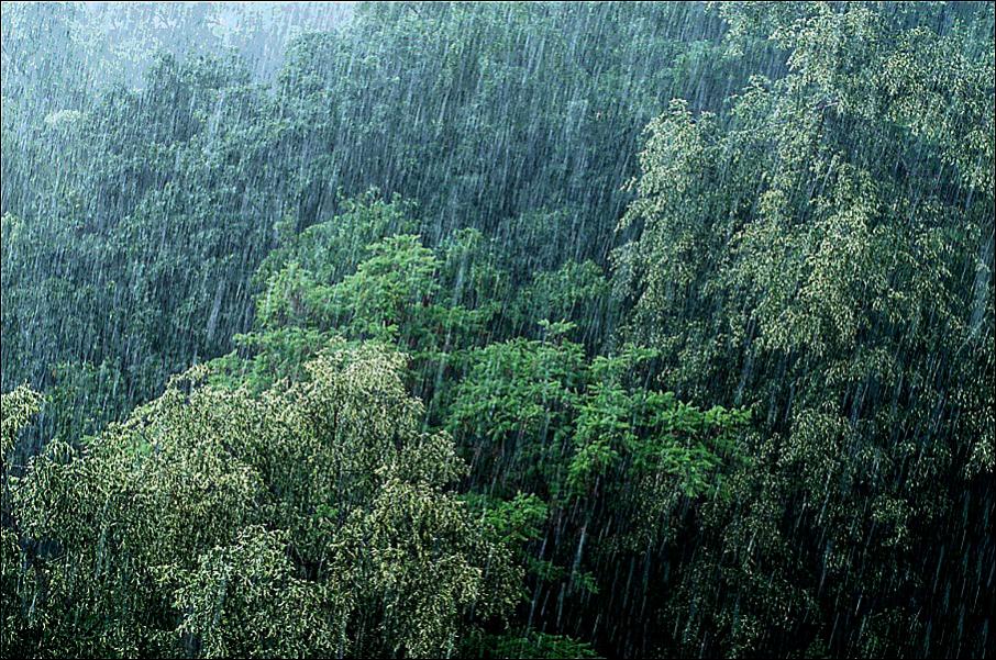 20.6.2010 regen