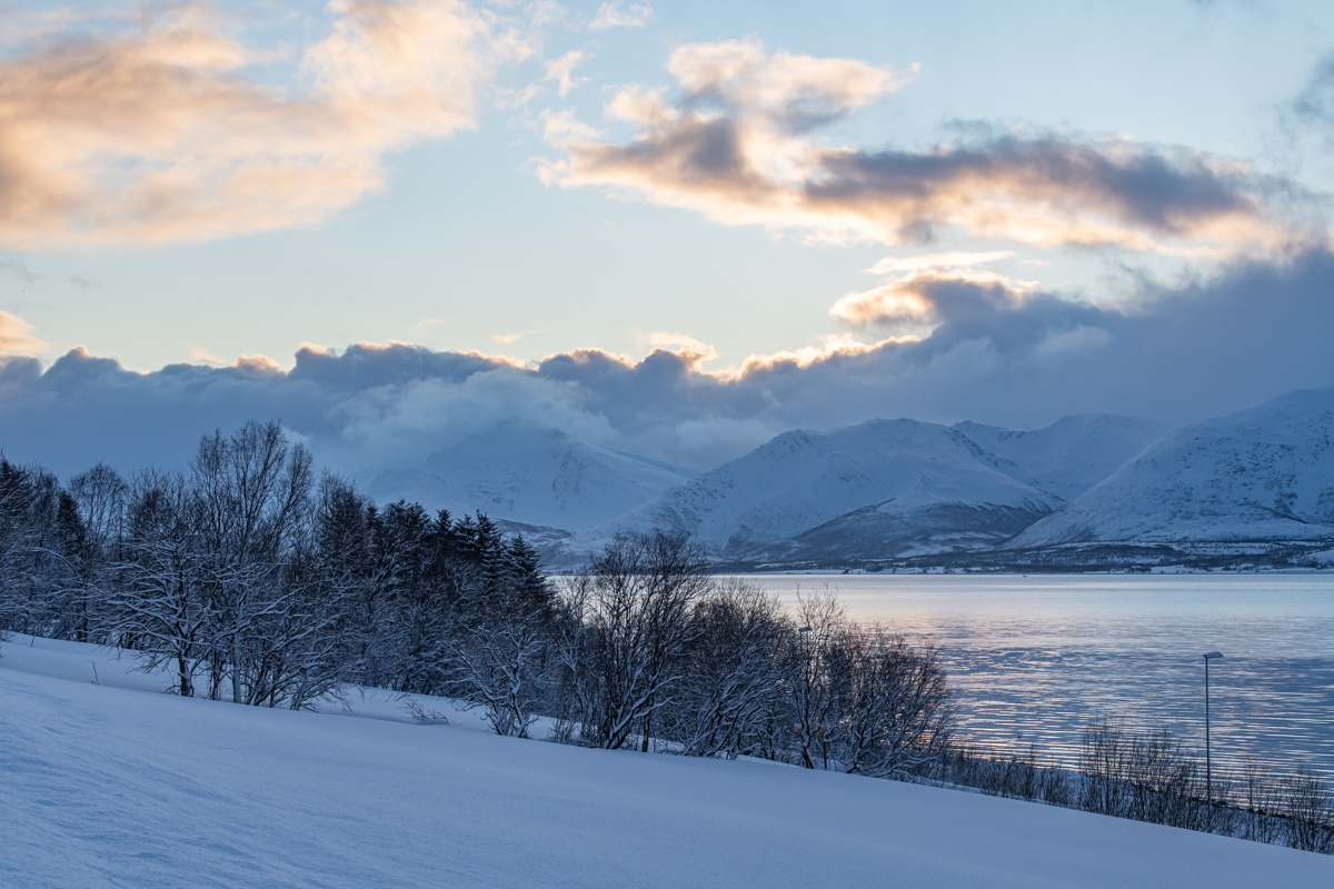 200203 Tromsø-11.jpg