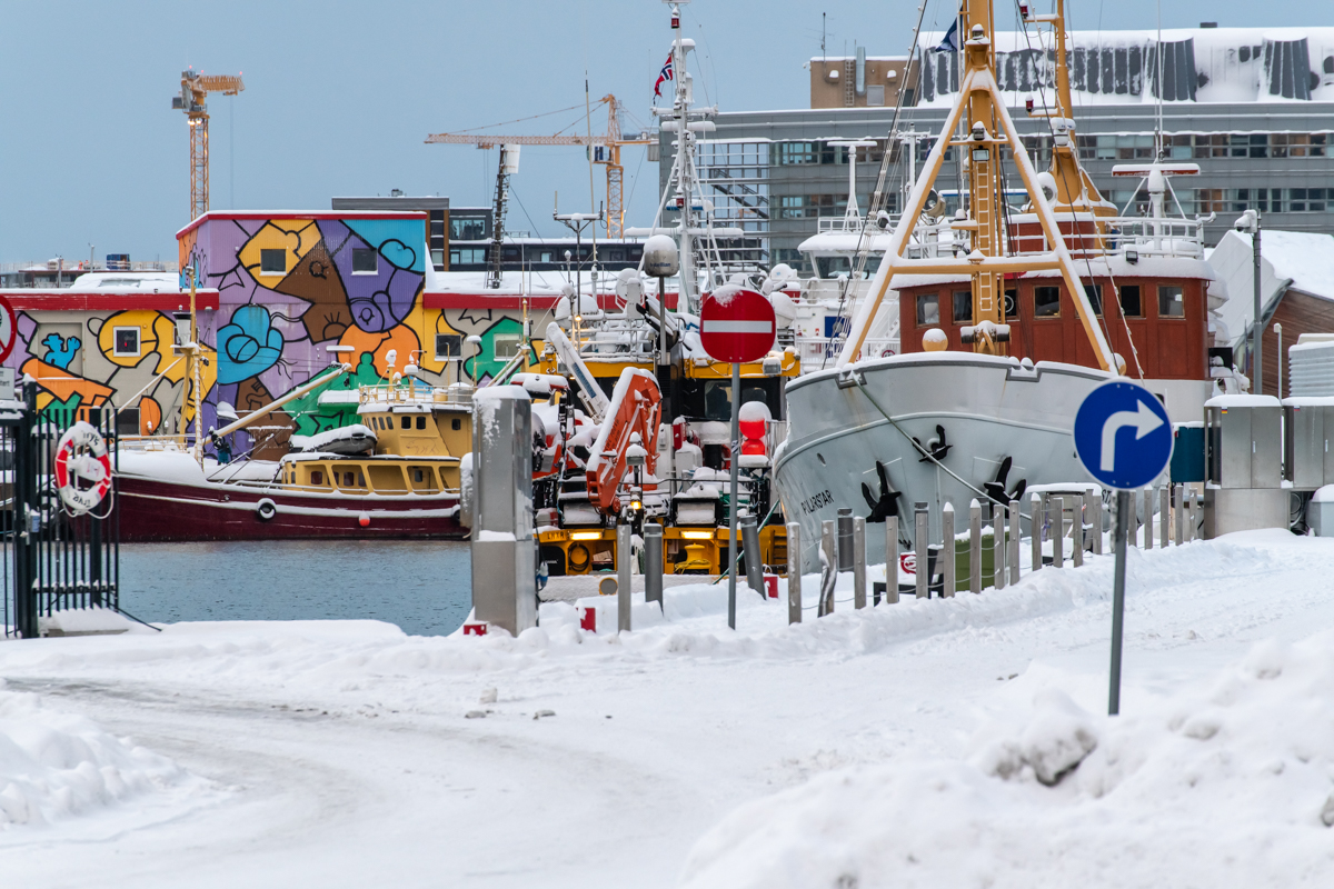 200203 Tromsø-3.jpg