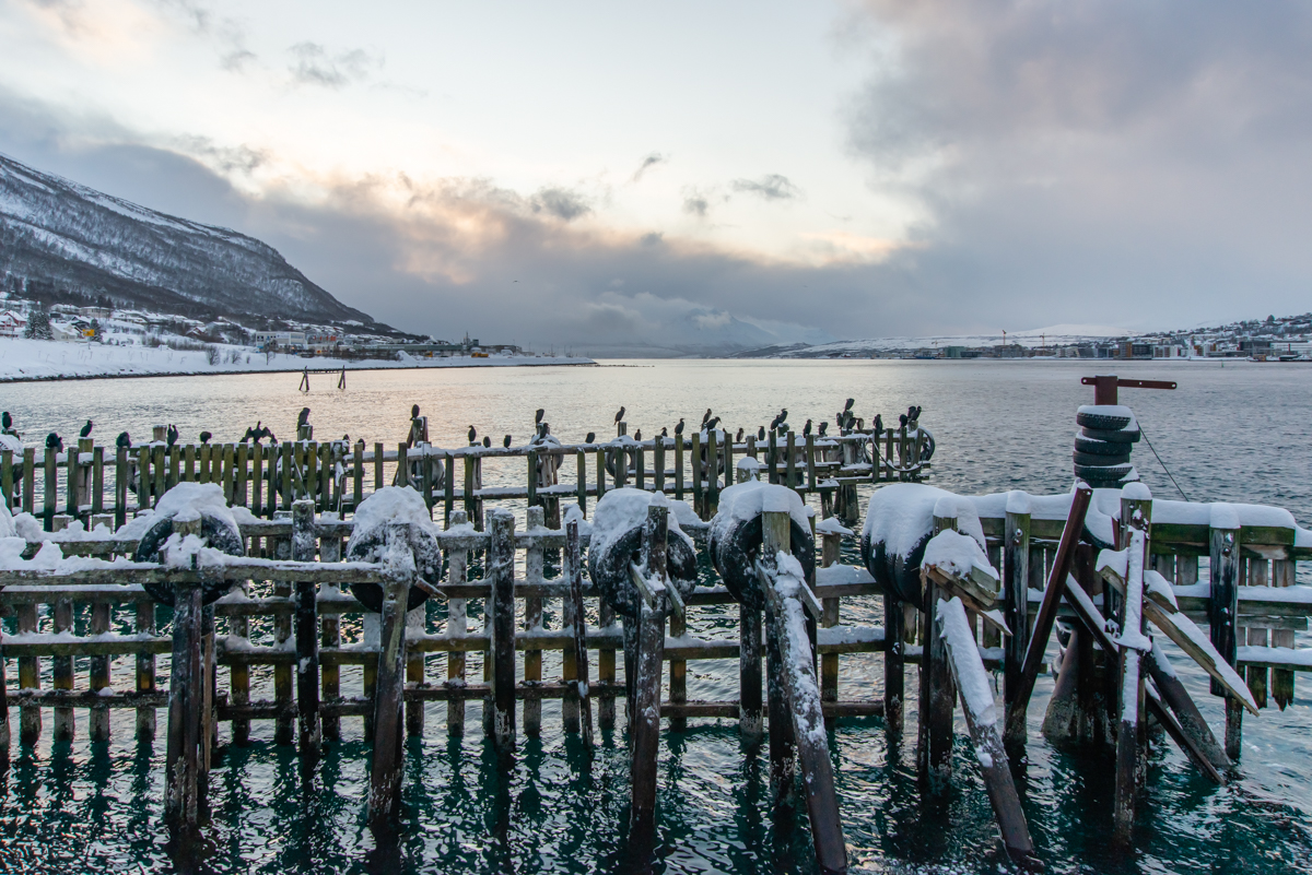 200205 Tromsø-3.jpg