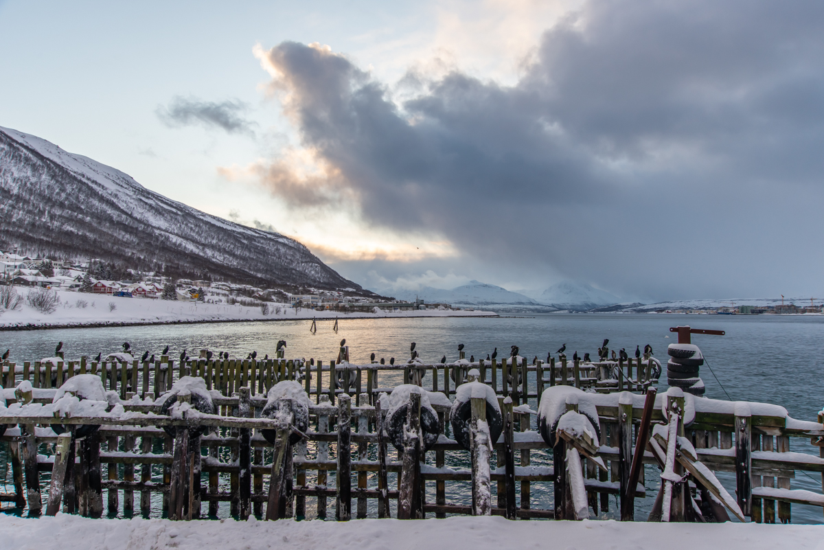 200205 Tromsø-4.jpg