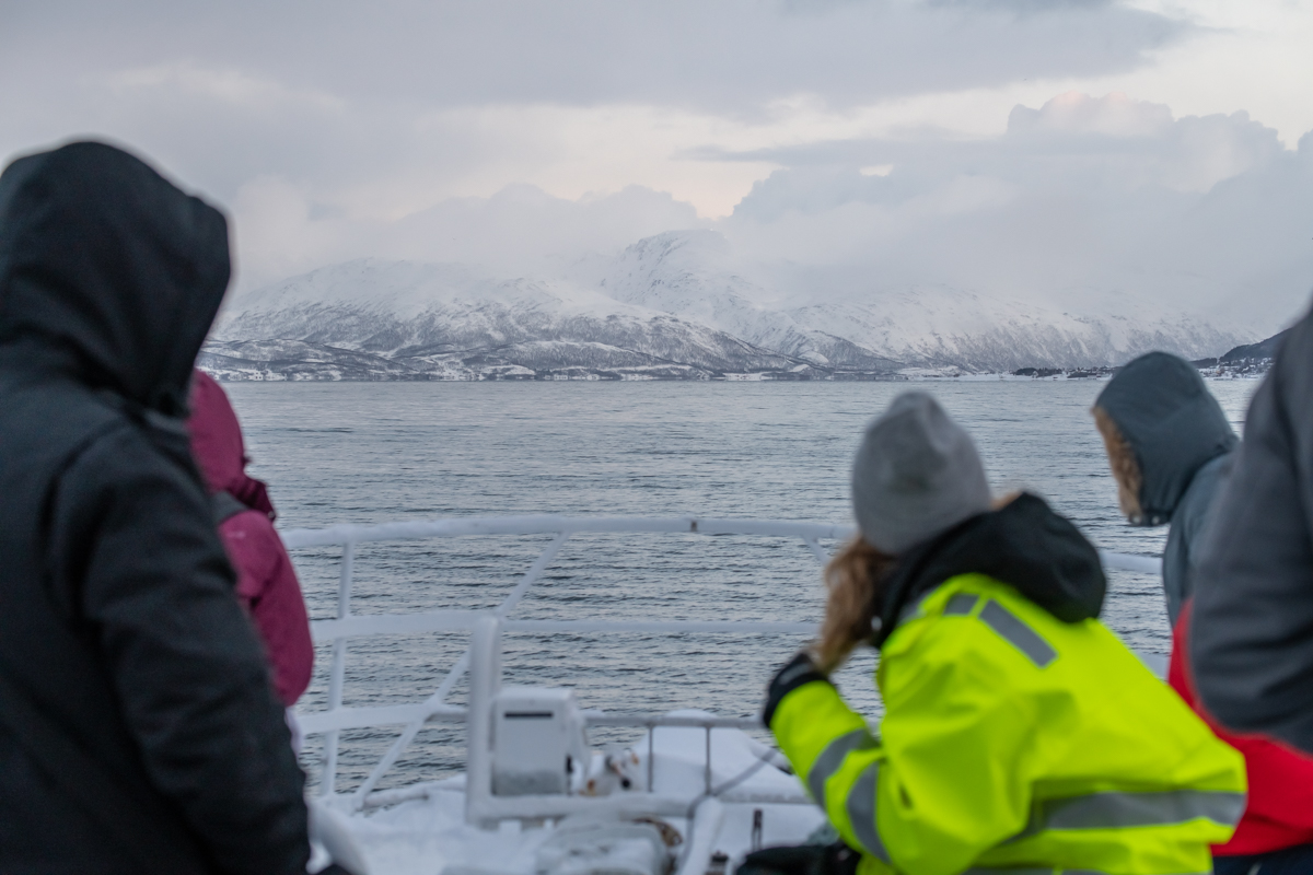 200206 Tromsø-7.jpg