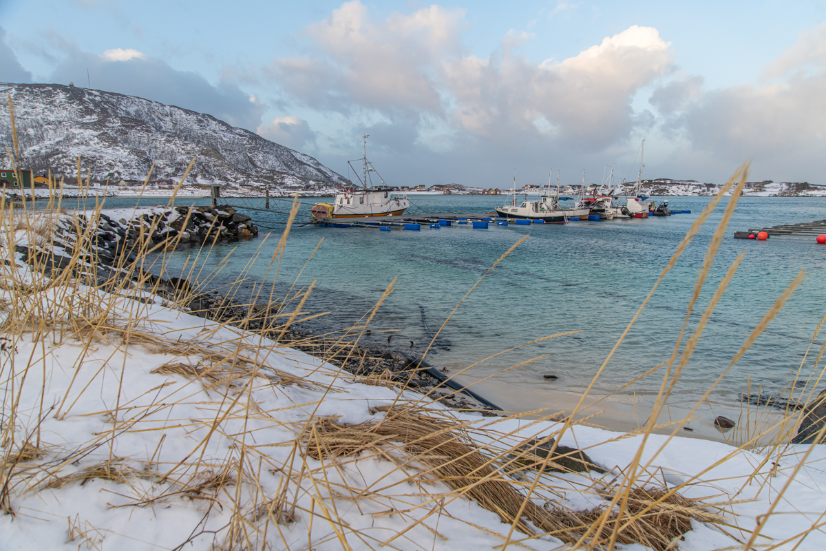 200207 Tromsø-25.jpg