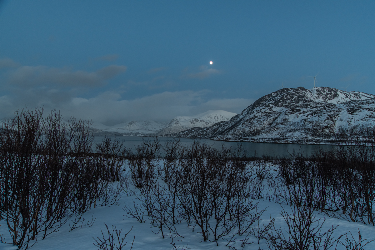 200207 Tromsø-89.jpg