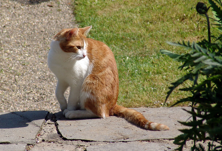 2005 DSC00428