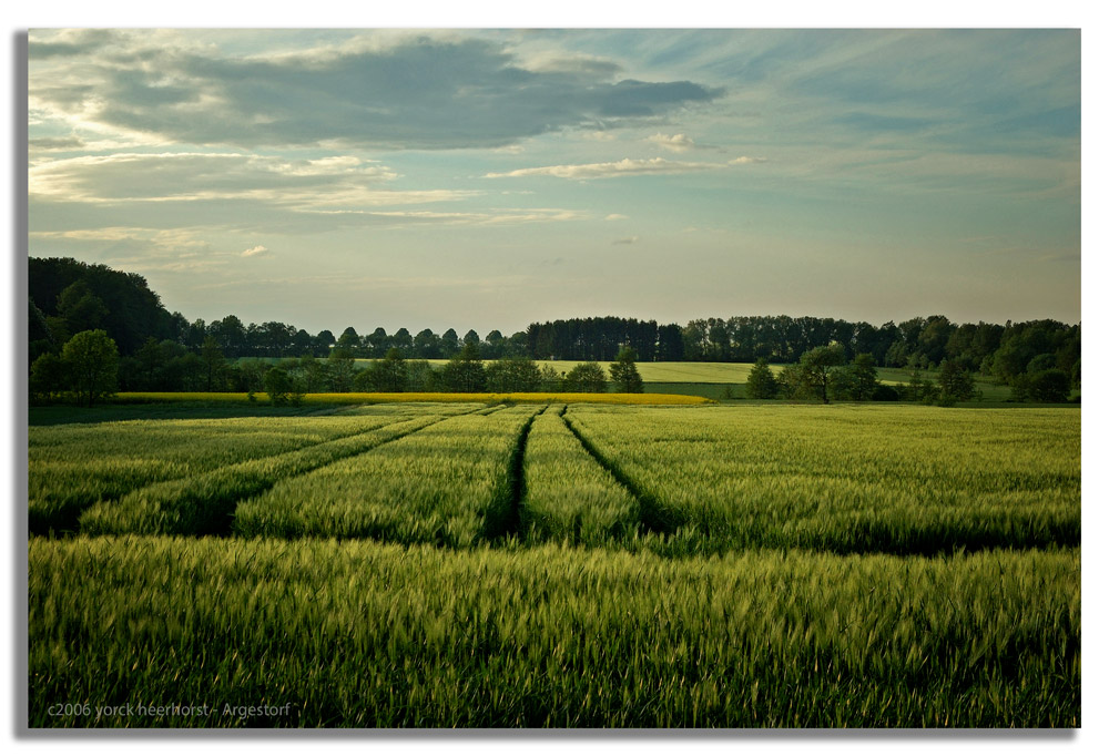 2006 0003 Wennigsen Deister