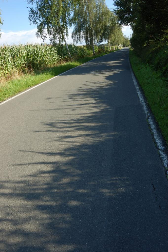 2006 08 29DSC 0002