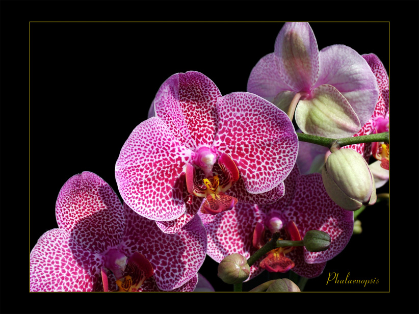 2007 0708 Bild 0047 13x18