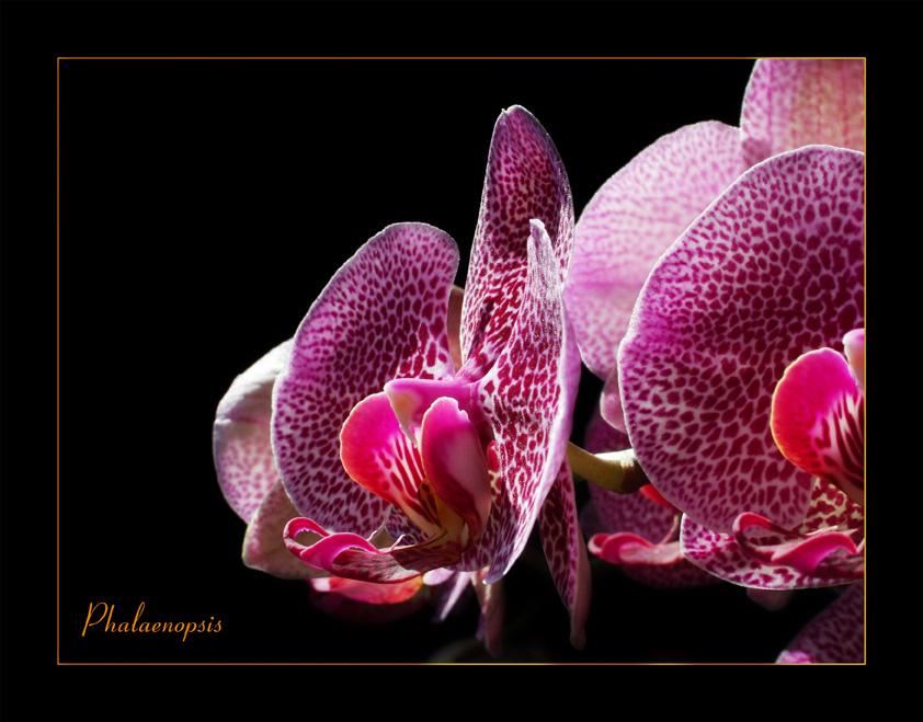 2007 0715 Bild 0021 20x30