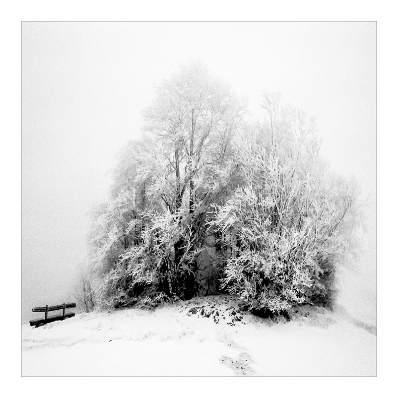 2007 Halde b&amp;w square 013