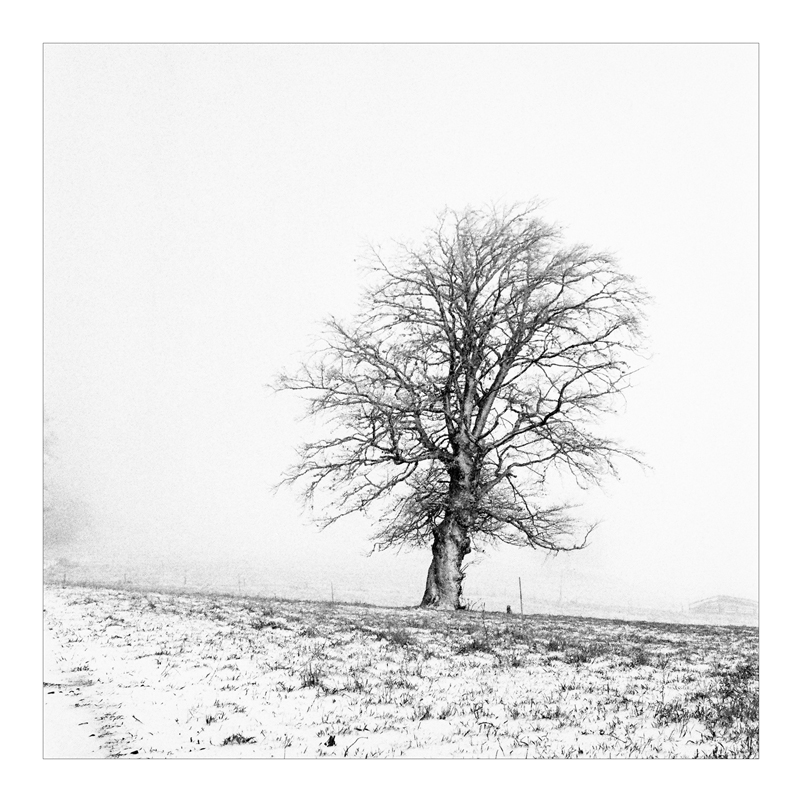 2007 Halde b&amp;w square 018