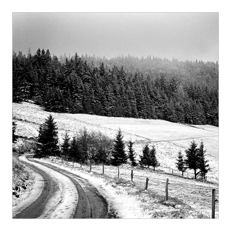 2007 Halde b&amp;w square 021