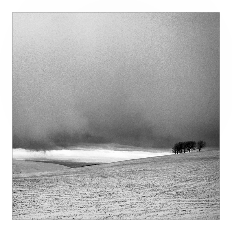 2007 Halde b&amp;w square 023