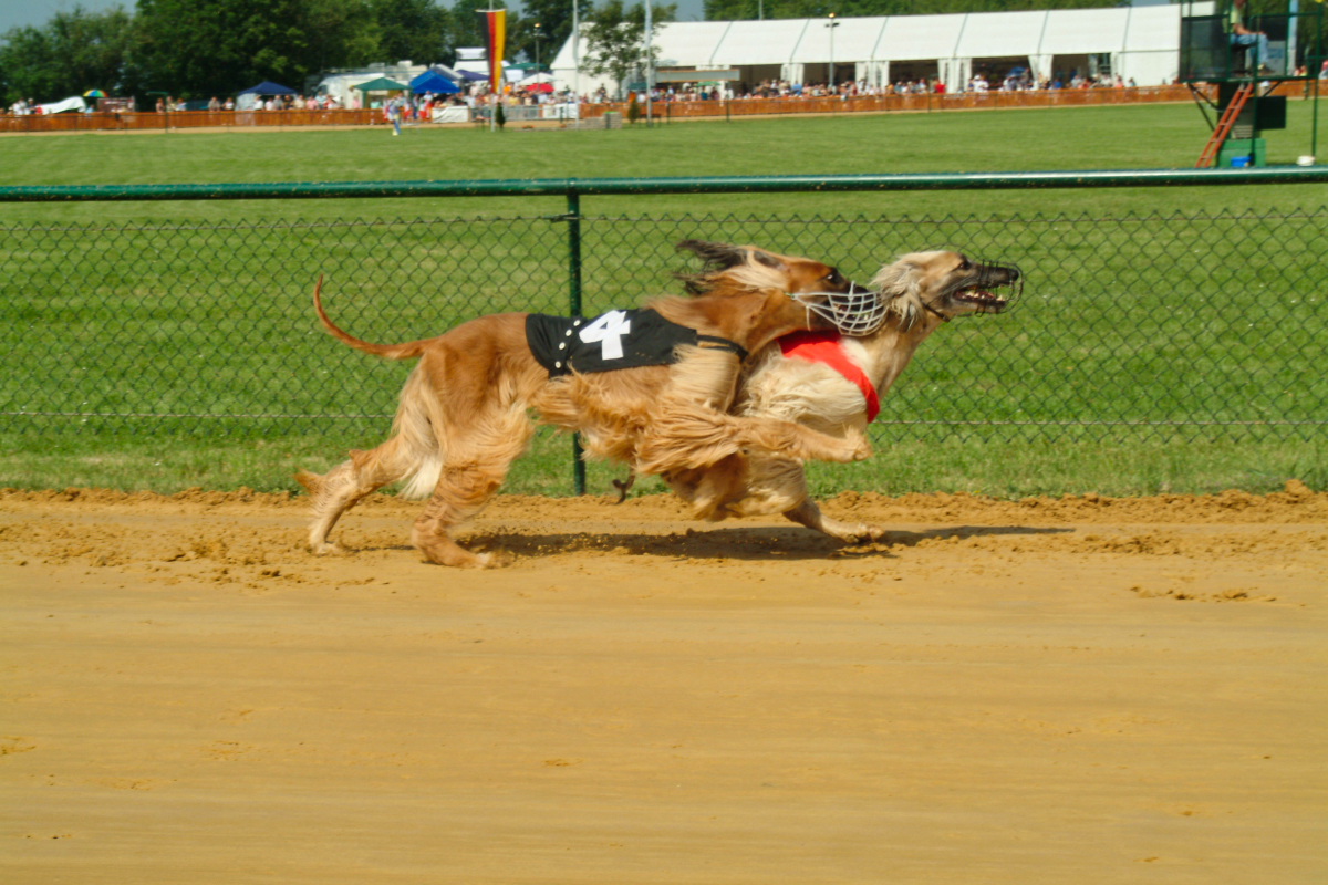 2007_06_10_10_01-005 (1).jpg