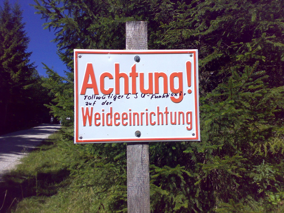 2008-09-09_12-19-58_1200.jpg