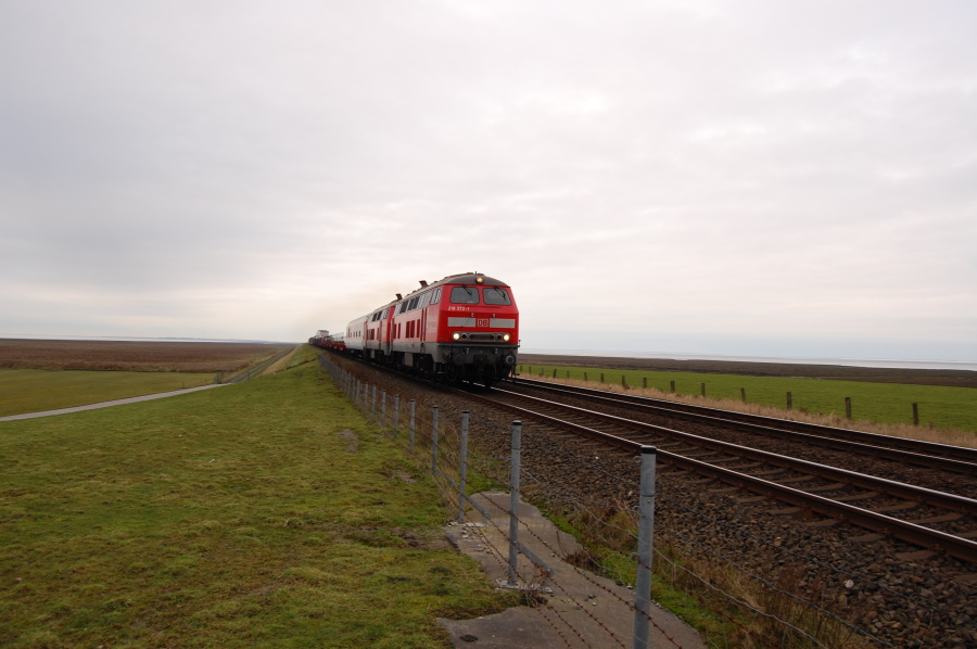 2008 12 27 027klein