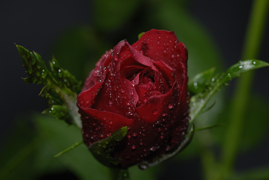 20080304  STA7543