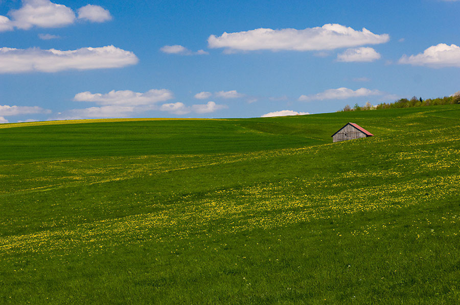 20080507 D2X 2569