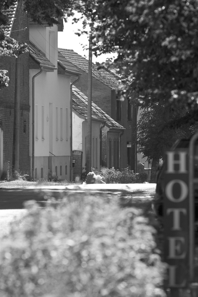 20080617 9793 [D200]   F5.6 180.00mm
