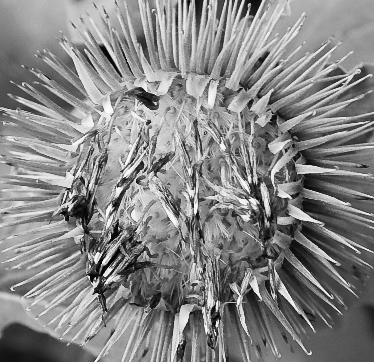 20080720 3644 [D300]   F5.6 17.00mm