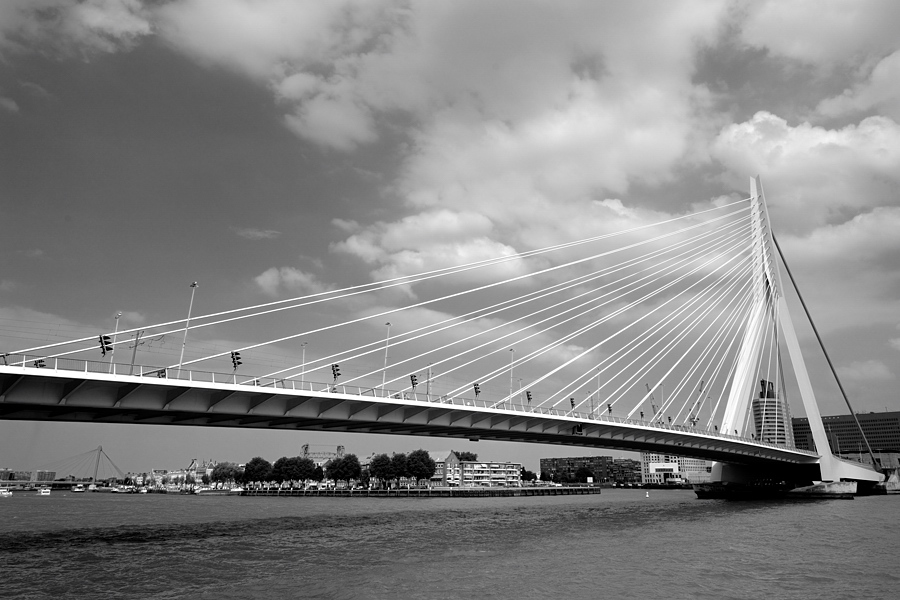 20080725 164832swRotterdam
