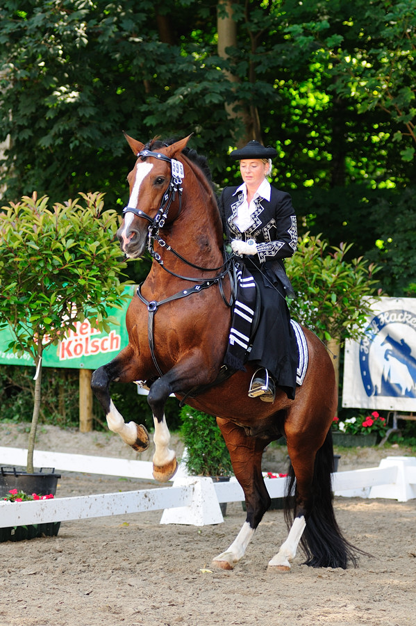 20080830 DSC 4415