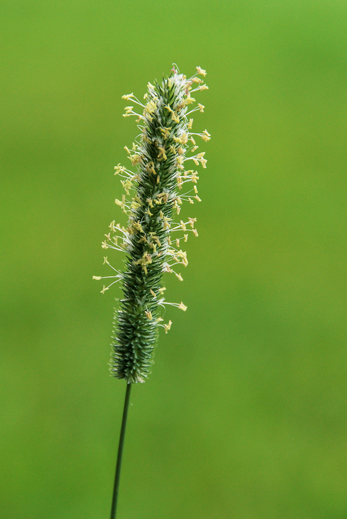 20080906-DSC_0789.jpg
