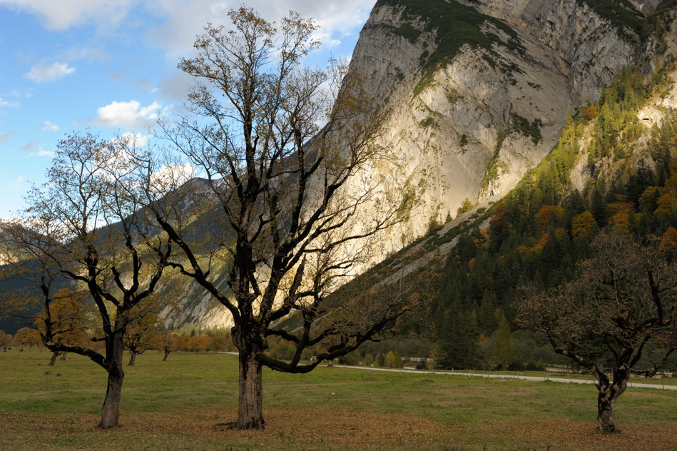 20081006 165941Karwendel