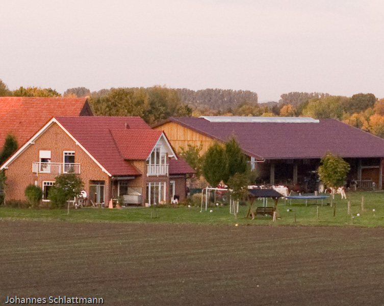 20081009 4294 [D700]   F2,0 50,00mm 2