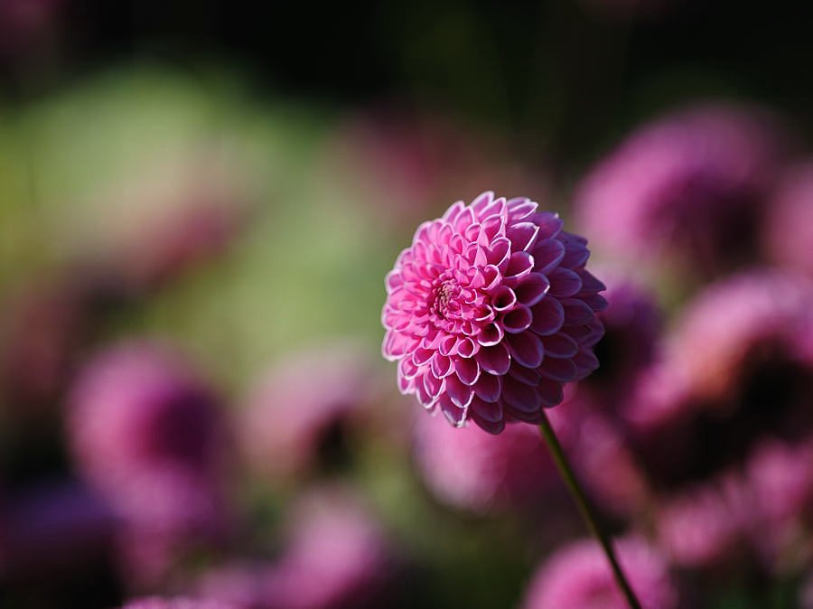 20081019 151044 D03 3081