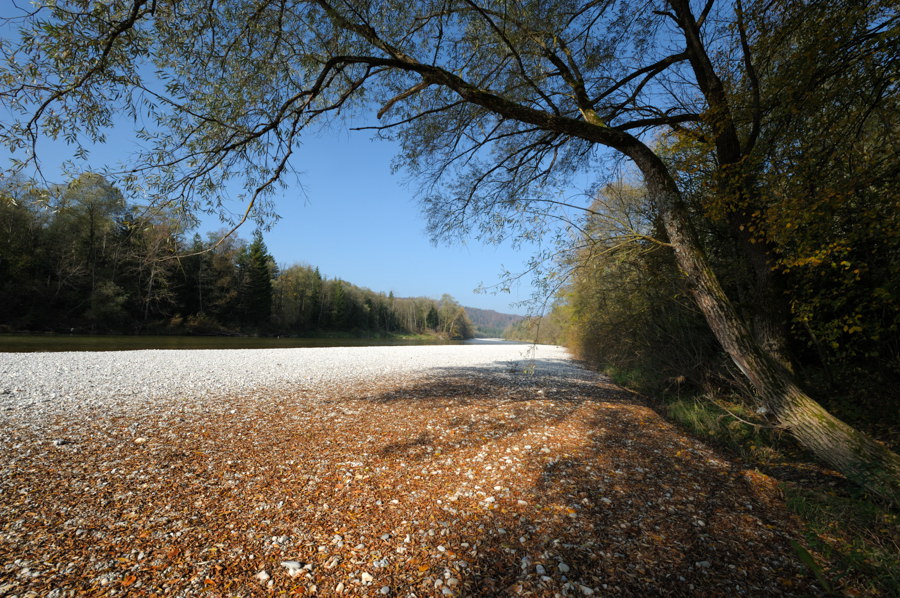 20081025 131244Herbst Isar