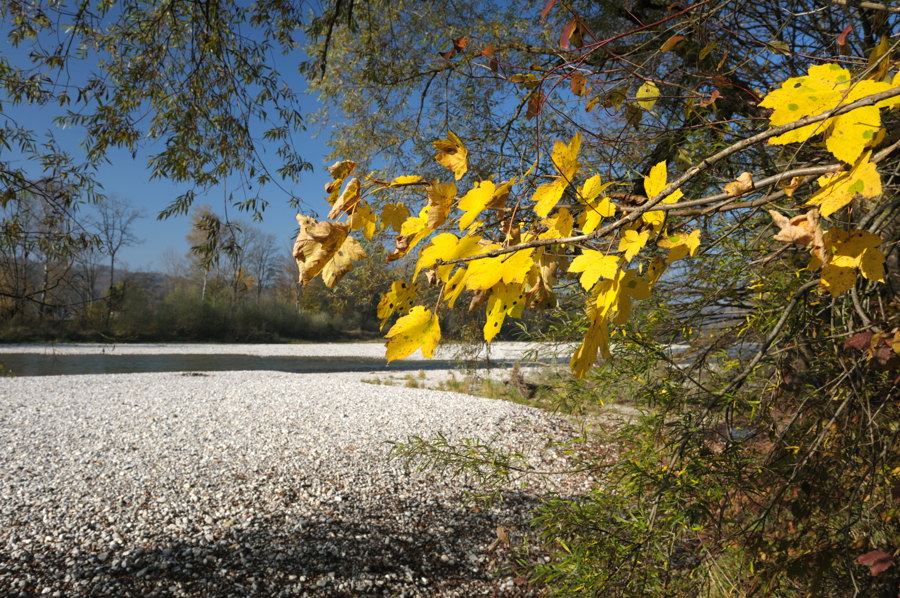 20081025 142935Herbst Isar